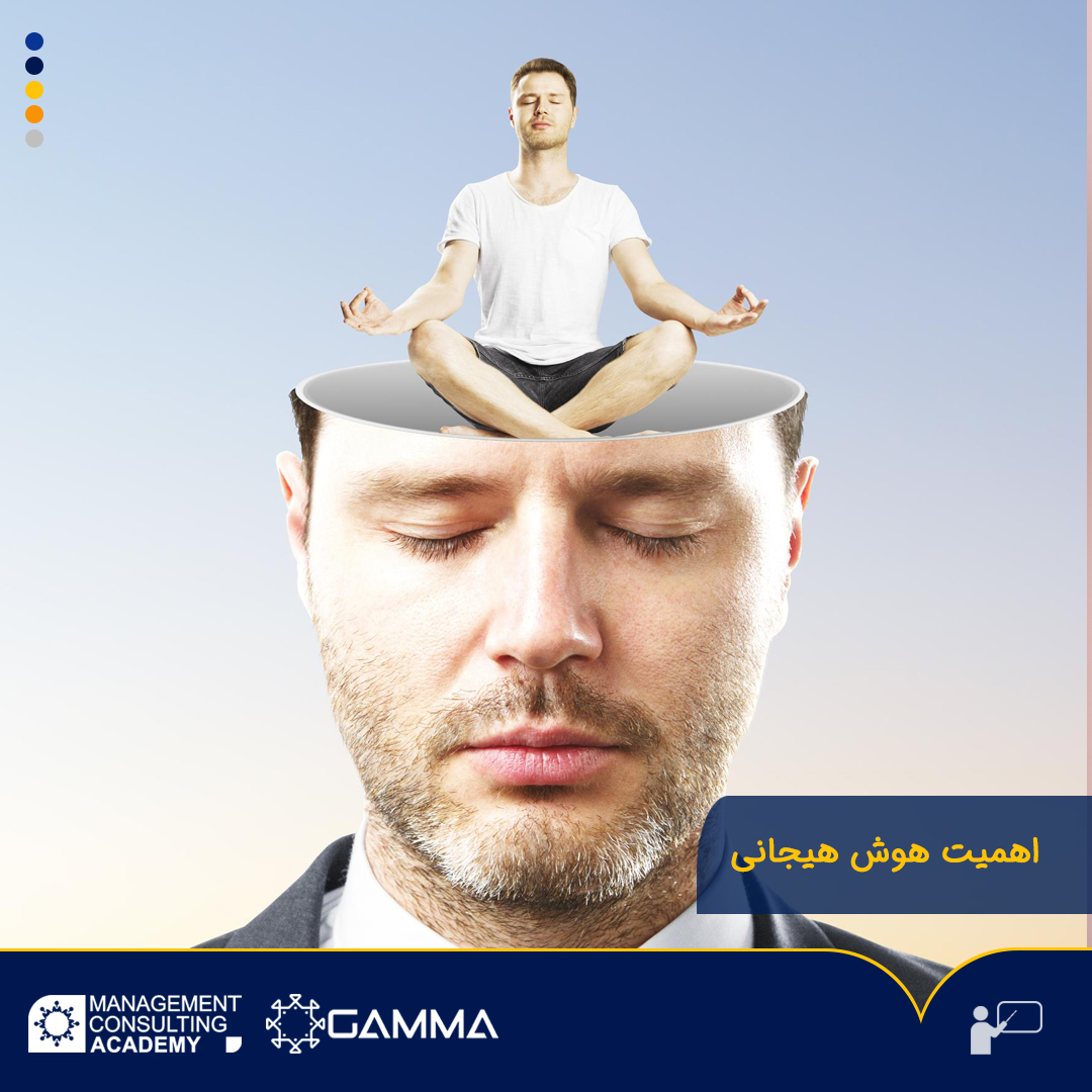 اهمیت هوش هیجانی