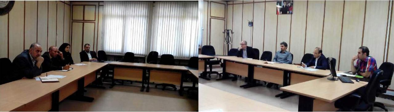 photo461951981140945247