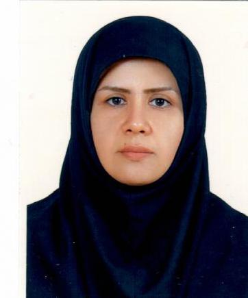 گروه کارشناسان ایران – کیش