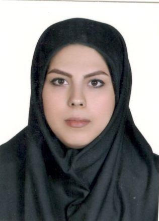 محاسب گران فرتاک