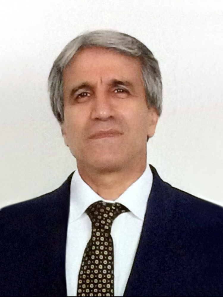 موسسه غیر تجاری راهبرد مشاوران رایان