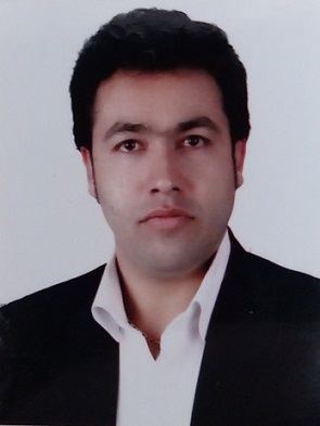 شرکت راه گزین داده محاسب