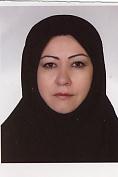 گروه کارشناسان ایران – کیش