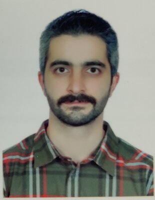 راهبردهای توسعه داده و نوآوری سینا